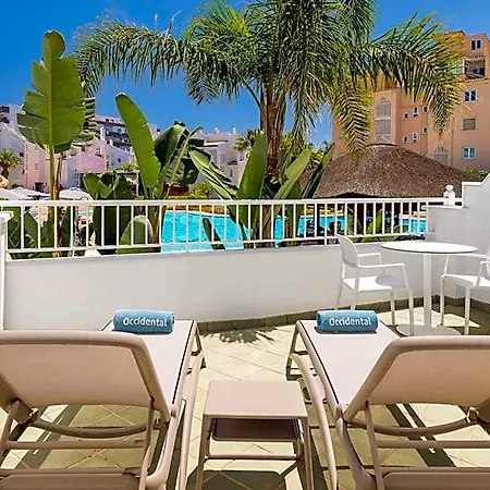 Occidental Playa Hotel